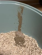 IMG_7589.jpeg