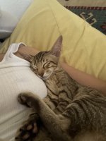 IMG_2398.jpeg IMG_2398.jpeg