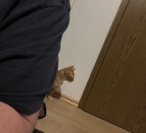 IMG_6614.jpeg
