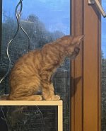 IMG_6610.jpeg