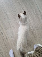 IMG_20240723_090005_642.jpg