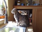 230820121298.jpg