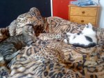 DSC02076.jpg DSC02076.jpg
