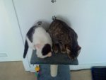 DSC02078.jpg DSC02078.jpg