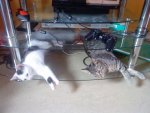 DSC02086.jpg DSC02086.jpg