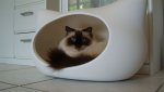DSC06046.JPG