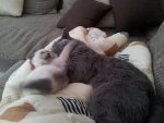 2012-07-22 16.17.42.jpg