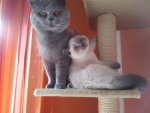2012-08-12 12.49.55.jpg