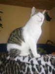 22072011056.jpg