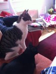 iPhone pics. 100.jpg
