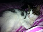 iPhone pics. 853.jpg