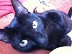 iPhone pics. 238.jpg