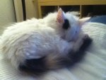 IMG_0871.jpg