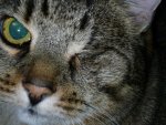 P1000517 - Kopie.jpg