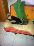Foto 10.jpg