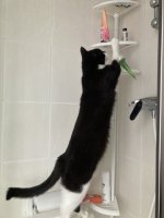 IMG_8351.jpeg IMG_8351.jpeg