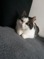 20230409_093746.jpg