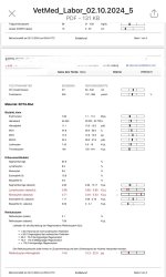 IMG_3861.jpeg