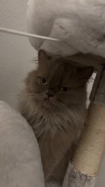 IMG_2464.jpeg