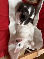 IMG_8860.jpeg