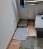 20241031_144826.jpg