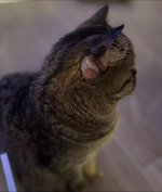 IMG_4583.jpeg