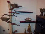 IMG-20120921-WA0003.jpg IMG-20120921-WA0003.jpg