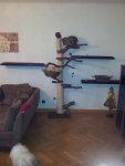 20120928_171927.jpg 20120928_171927.jpg