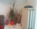 2012-10-07 10.37.15.jpg