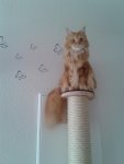 2012-10-21 12.12.39.jpg