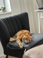 IMG_9120.jpeg