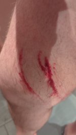 IMG-20241213-WA0081.jpeg