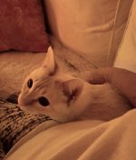 VideoCapture_20250109-183322.jpg