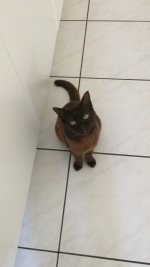 IMG_1532.jpeg