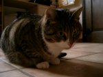 Wilma2009 003.jpg
