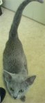DSC0026444.JPG