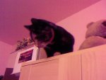 Foto-0048.jpg