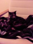 Foto-0145.jpg
