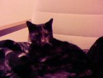 Foto-0144.jpg