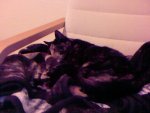 Foto-0146.jpg