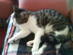 DSC01477.JPG
