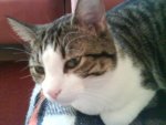 DSC01473.JPG