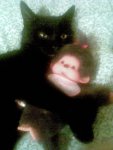 Bild376.jpg