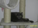 PIC_0006.jpg