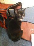 DSC00345.JPG