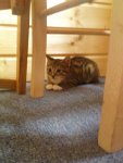 DSC00346.JPG
