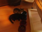 DSC00348.JPG