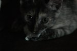 DSC_0364.JPG