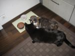 IMG_4496.jpg