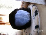 BILD0308.jpg